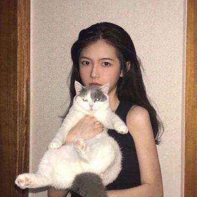 帝国雄狮生存战争手游